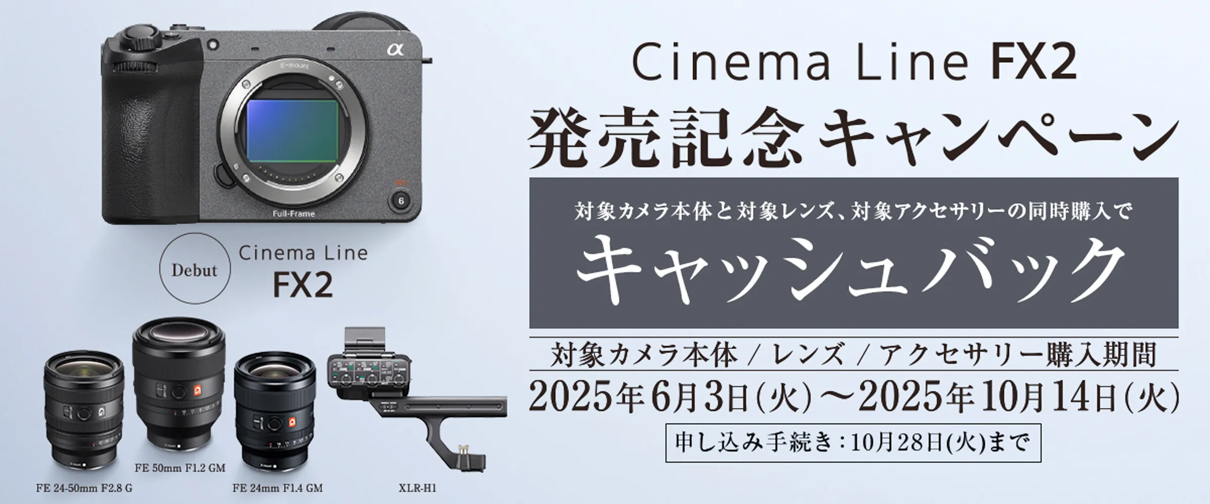 FX2.webp